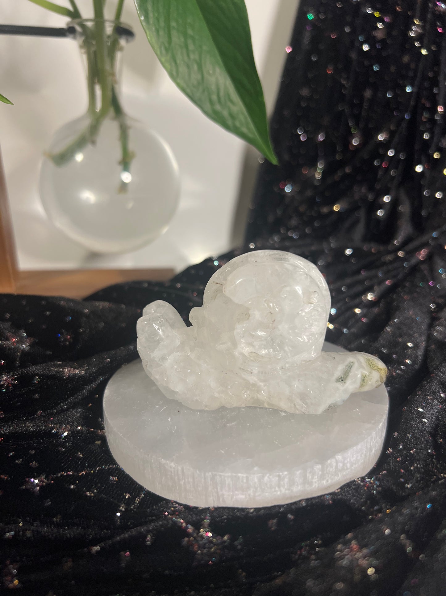 Moss Agate Snail B
