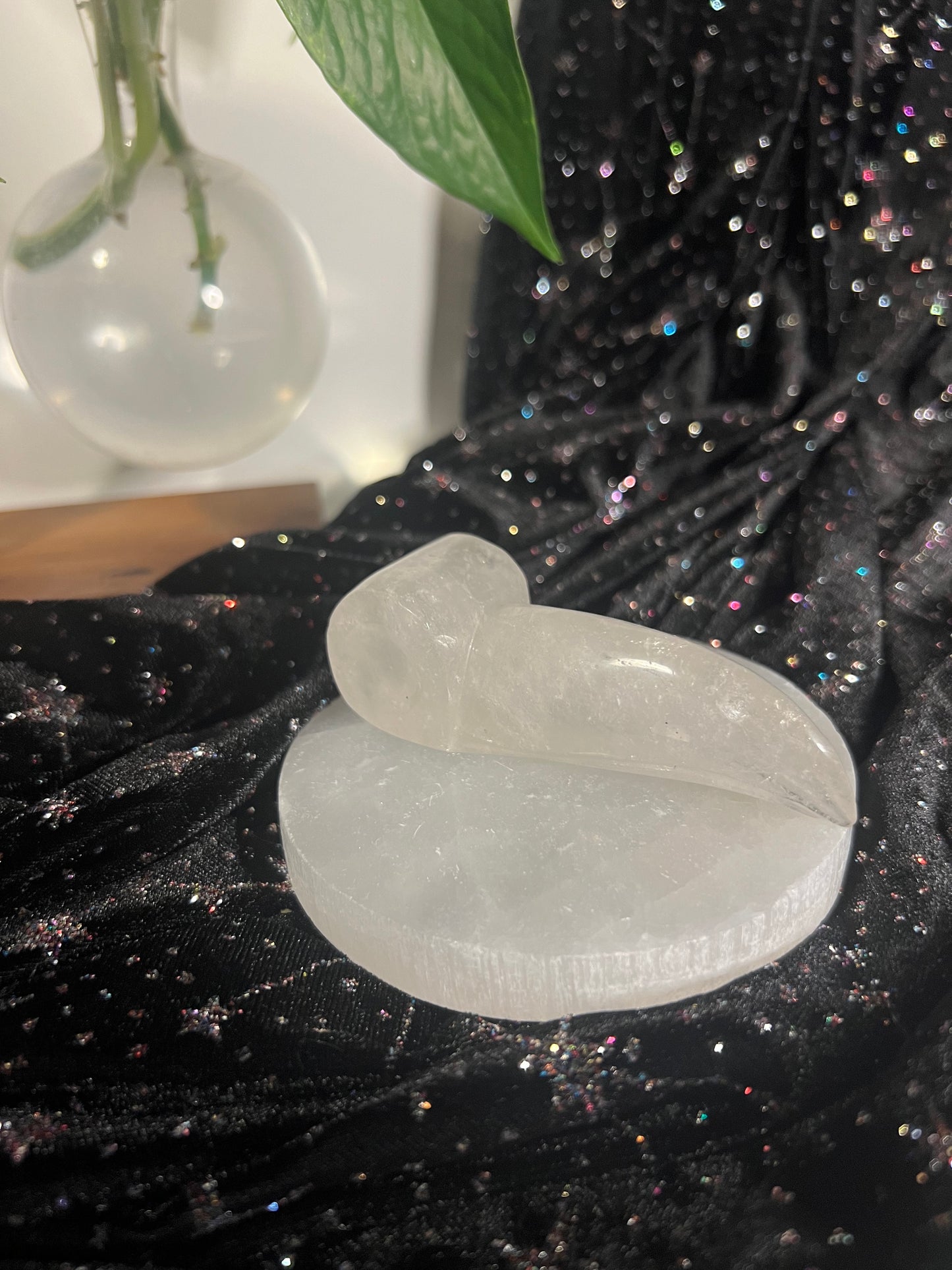 Clear Quartz Crow Skull