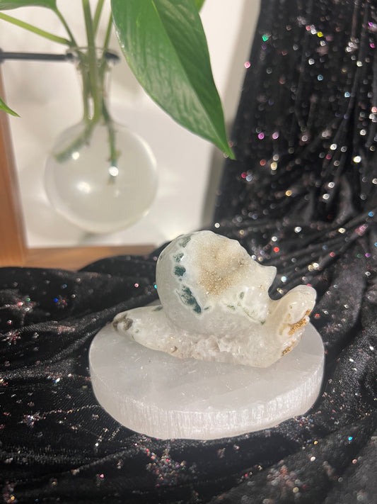 Moss Agate Snail A