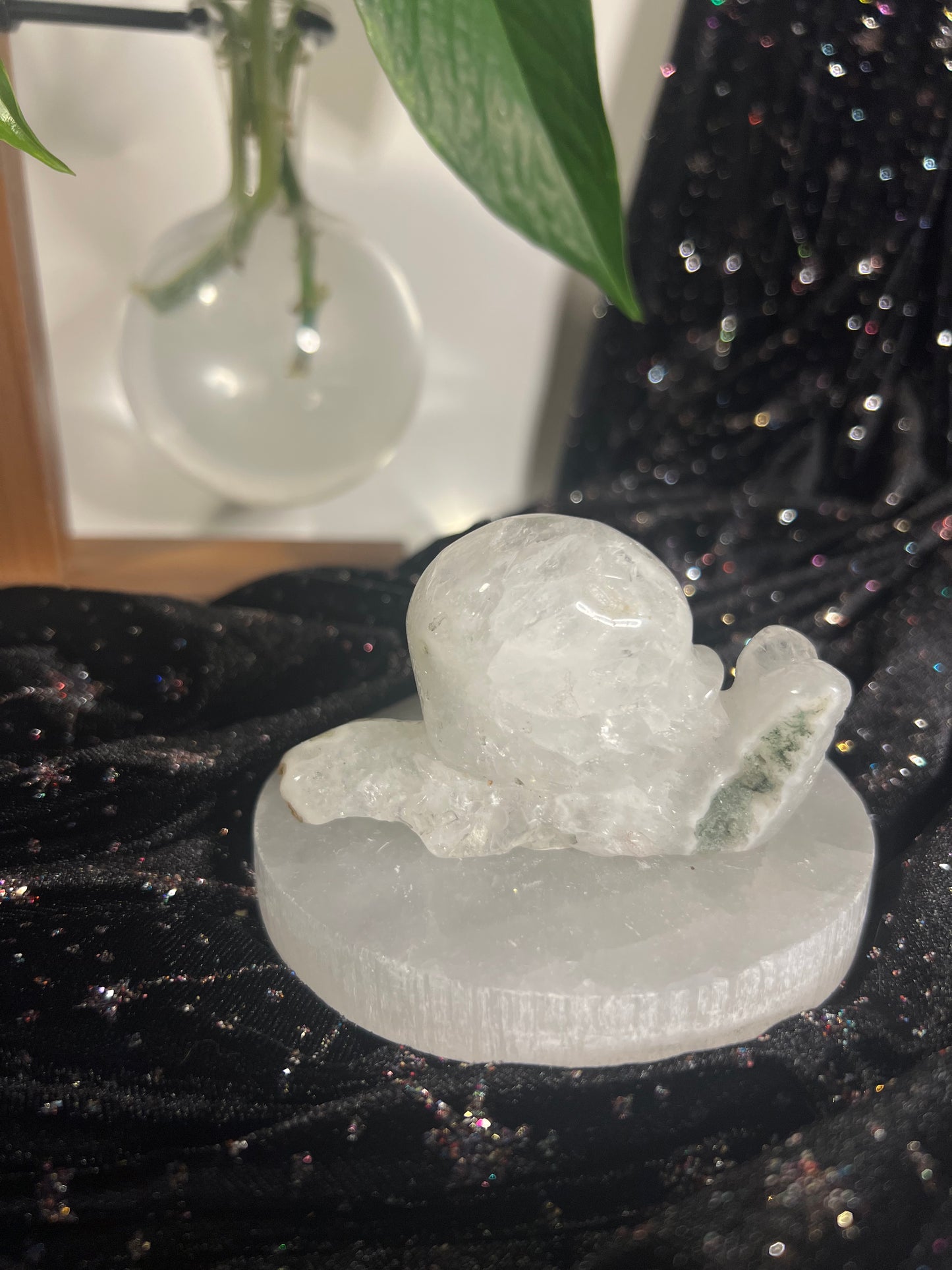 Moss Agate Snail B