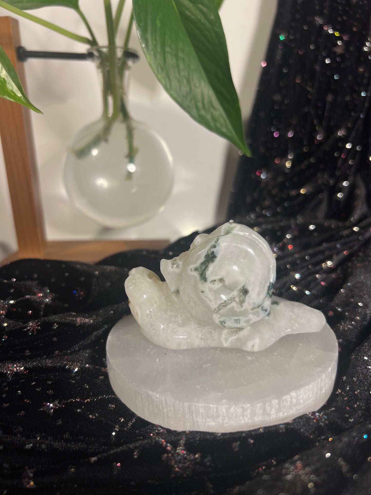 Moss Agate Snail A