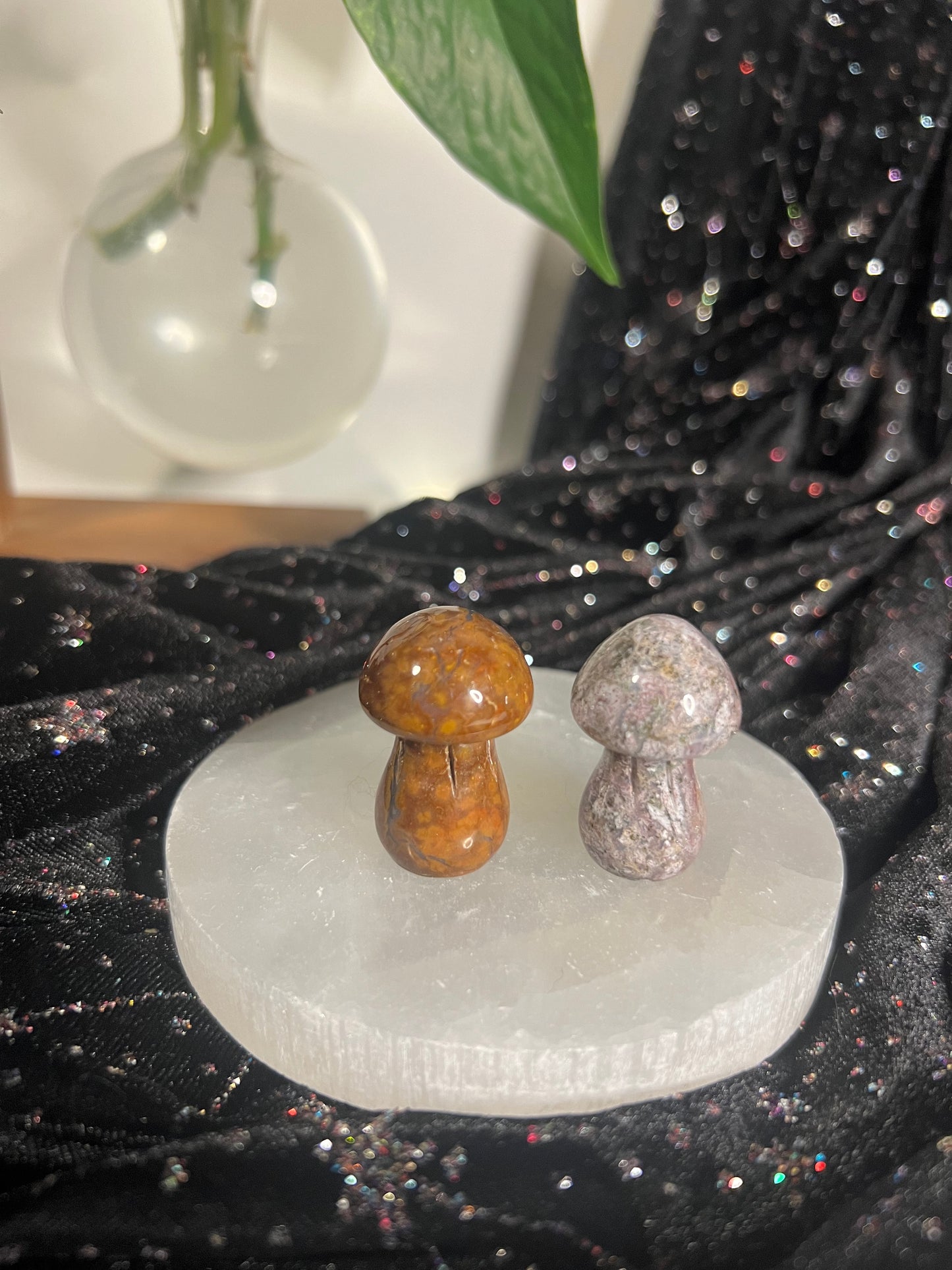 Ocean Jasper Mushrooms