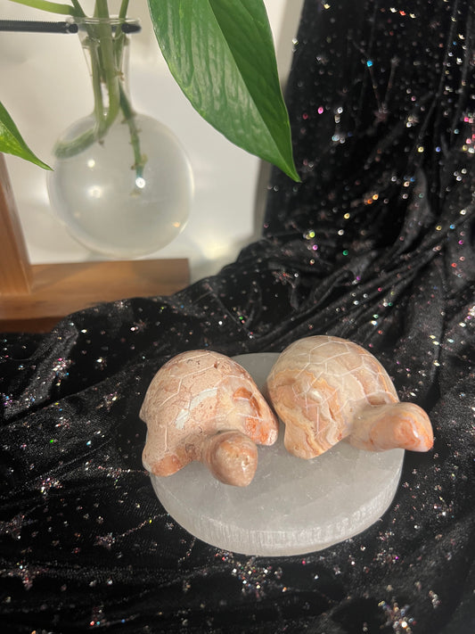 Crazy Lace Agate Turtle