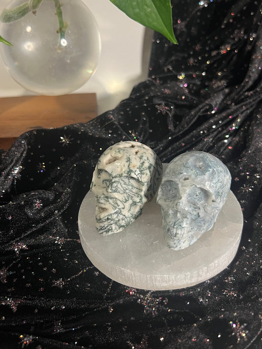 Tree Agate Skull
