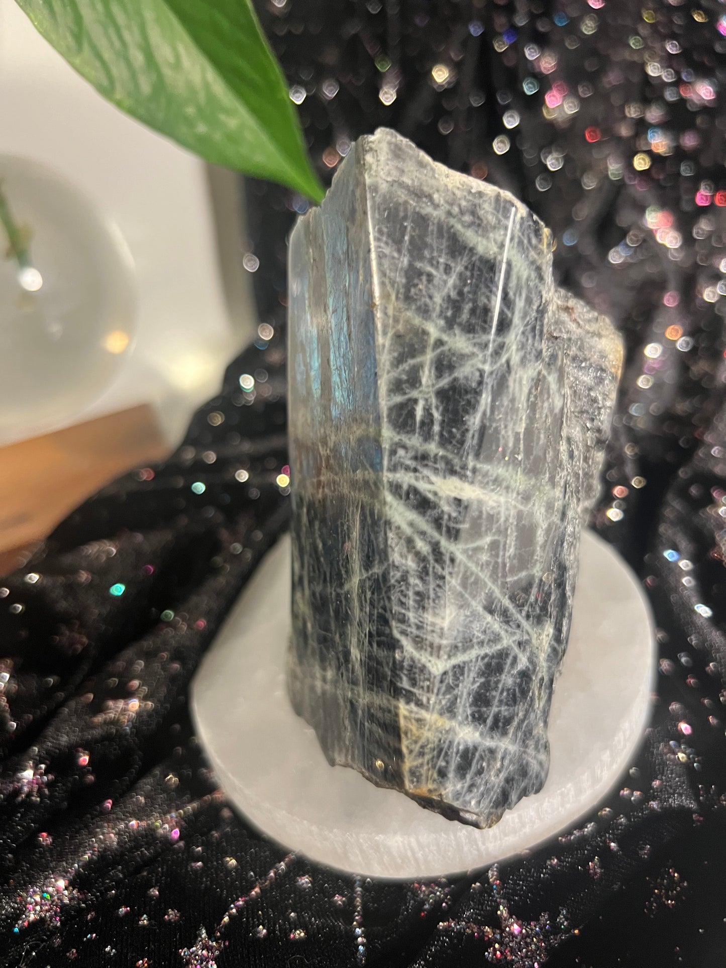NY Labradorite Freeform